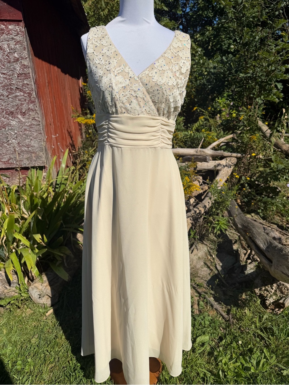 R&M Richards Ivory Lace V-Neck Empire Waist Dress